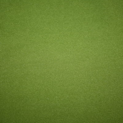 renee-d.de Onlineshop: Dünner Sportfleece Fleece grün