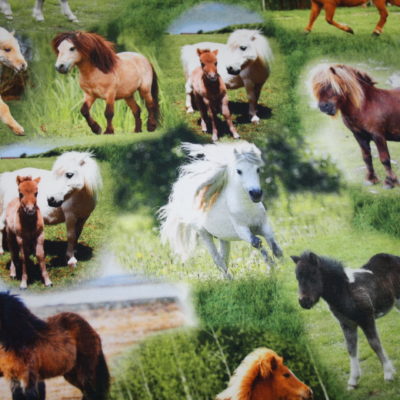 renee-d.de Onlineshop: Jersey Stoff Digitaldruck Pony Pferde