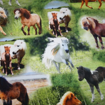 Jersey Stoff Digitaldruck Pony Pferde renee-d.de Onlineshop: Jersey Stoff Digitaldruck Pony Pferde