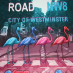 1,30m Stenzo Jersey Stoff Panel Abbey Road Flamingos (Grundpreis: 15,30€)