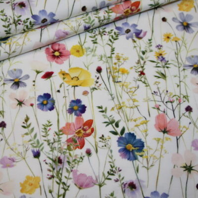 IMG_2014_Bildgröße ändern